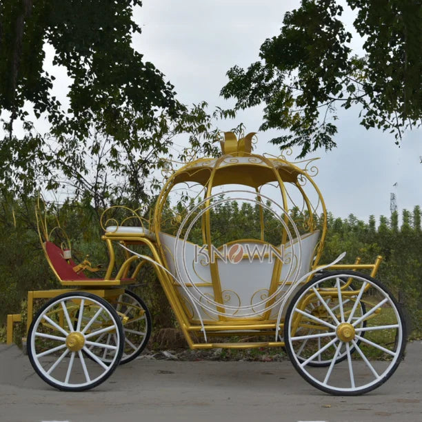 OEM Customized Royal Electric Life Size Horse Carriage for Sale Pumpkin Mini Cinderella Horse Carriage Trailer Princess