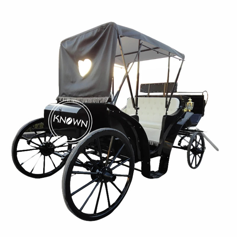 OEM Customized royal electric horse carriage for sale