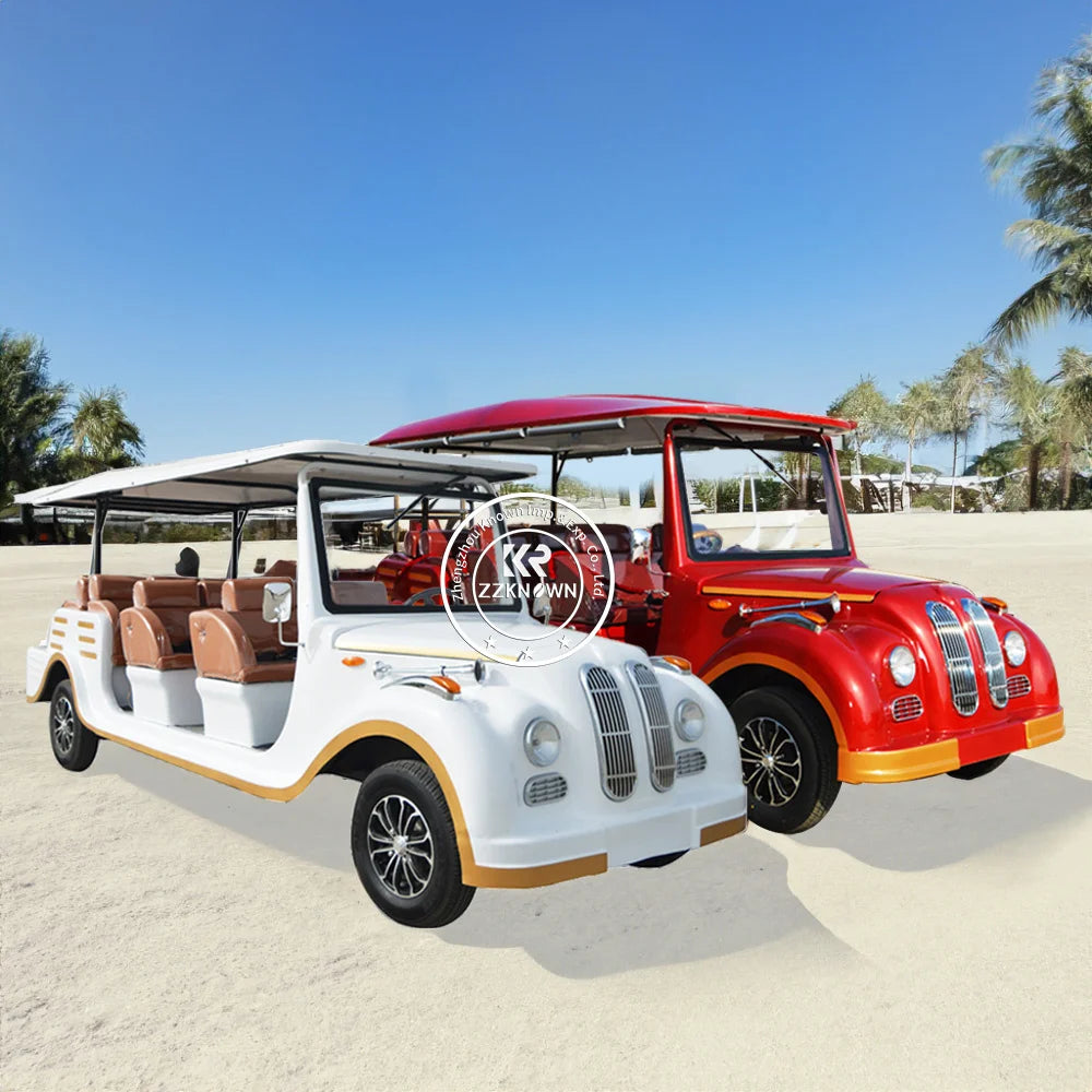 2024 New Golf Cart Hot Selling Golf Cart With Cartoon New Cars Special Transportation For Sale