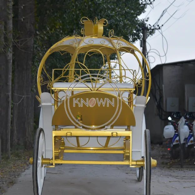 OEM Customized Royal Electric Life Size Horse Carriage for Sale Pumpkin Mini Cinderella Horse Carriage Trailer Princess