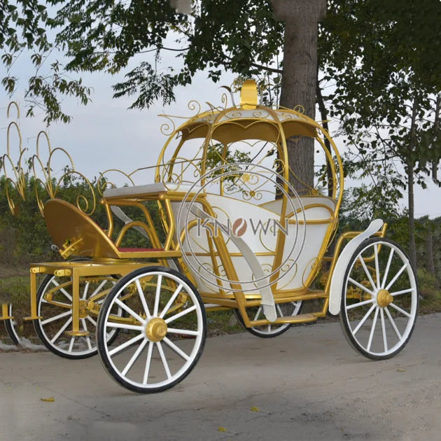 OEM Customized Royal Electric Life Size Horse Carriage for Sale Pumpkin Mini Cinderella Horse Carriage Trailer Princess