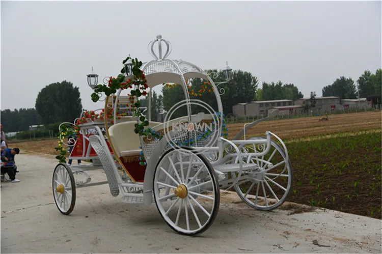 OEM Luxury Pumpkin Royal Cinderella Horse Carriage Outdoor Four Wheels Sightseeing Vehicle for 4-6 Person USA