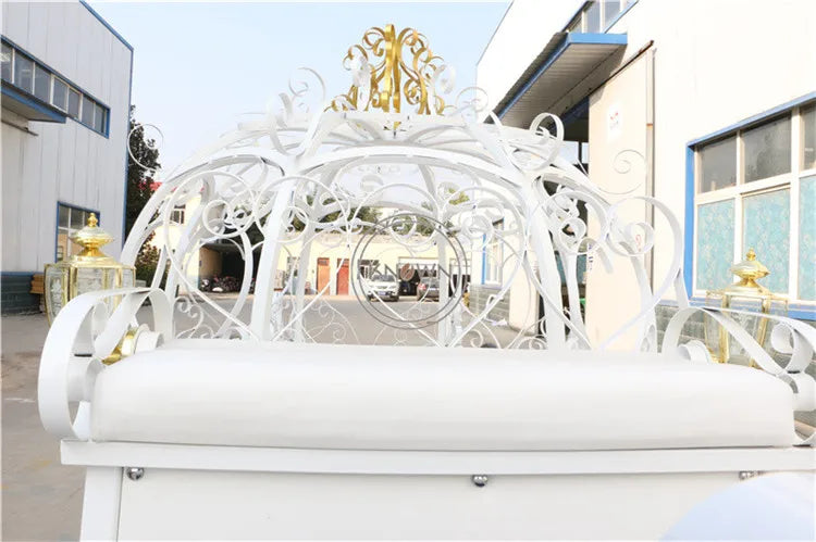 OEM Electric Cinderella Princess Wedding Horse Carriage Design Royal Classic Sightseeing Cart for Sale