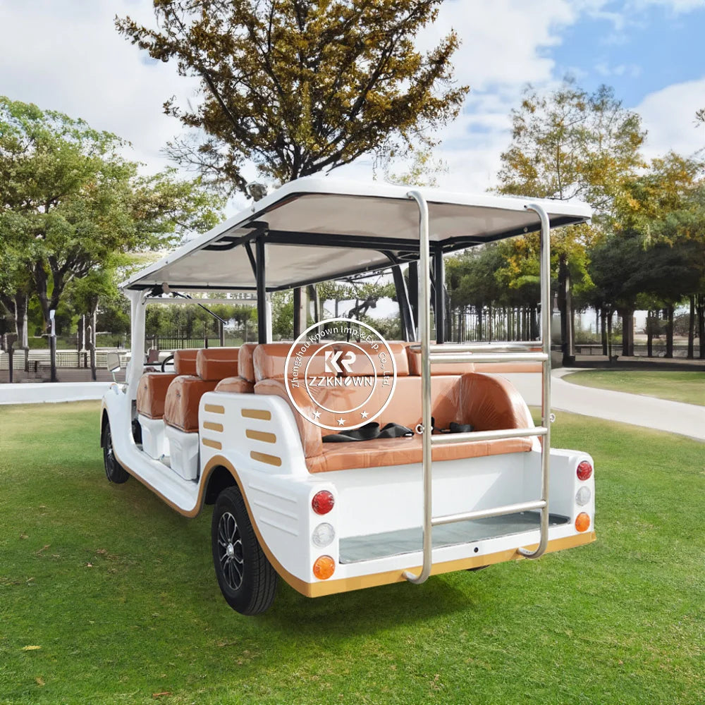 2024 New Golf Cart Hot Selling Golf Cart With Cartoon New Cars Special Transportation For Sale