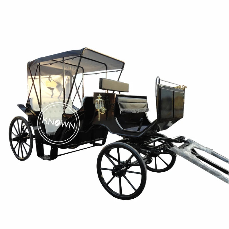 OEM Customized royal electric horse carriage for sale