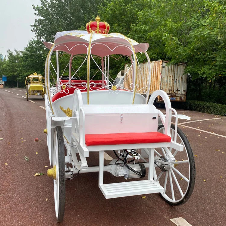 Wagon électrique pour chevaux de mariage à vendre Chariots de marathon de chevaux de Cendrillon de mariage blanc Transport spécial néerlandais