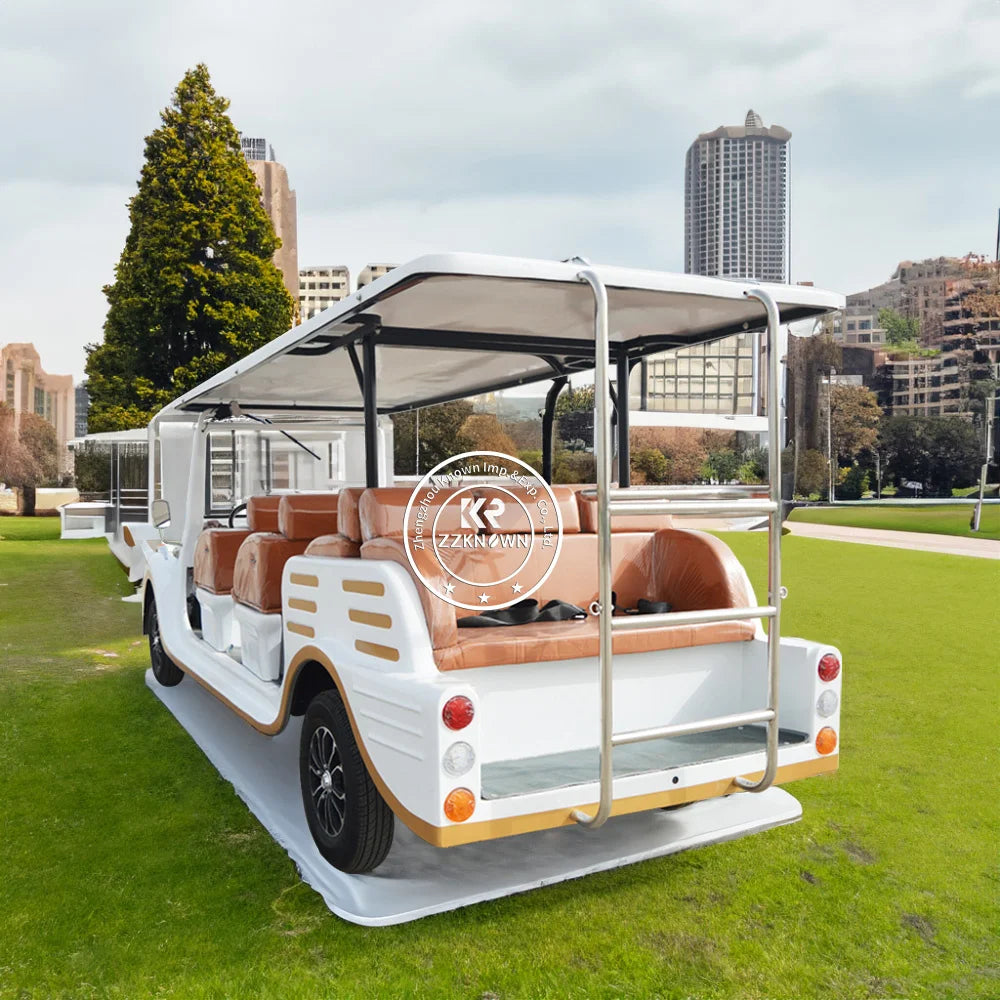 2024 New Golf Cart Hot Selling Golf Cart With Cartoon New Cars Special Transportation For Sale