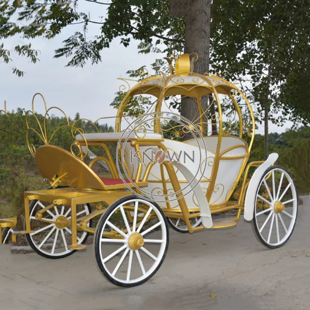 OEM Customized Royal Electric Life Size Horse Carriage for Sale Pumpkin Mini Cinderella Horse Carriage Trailer Princess