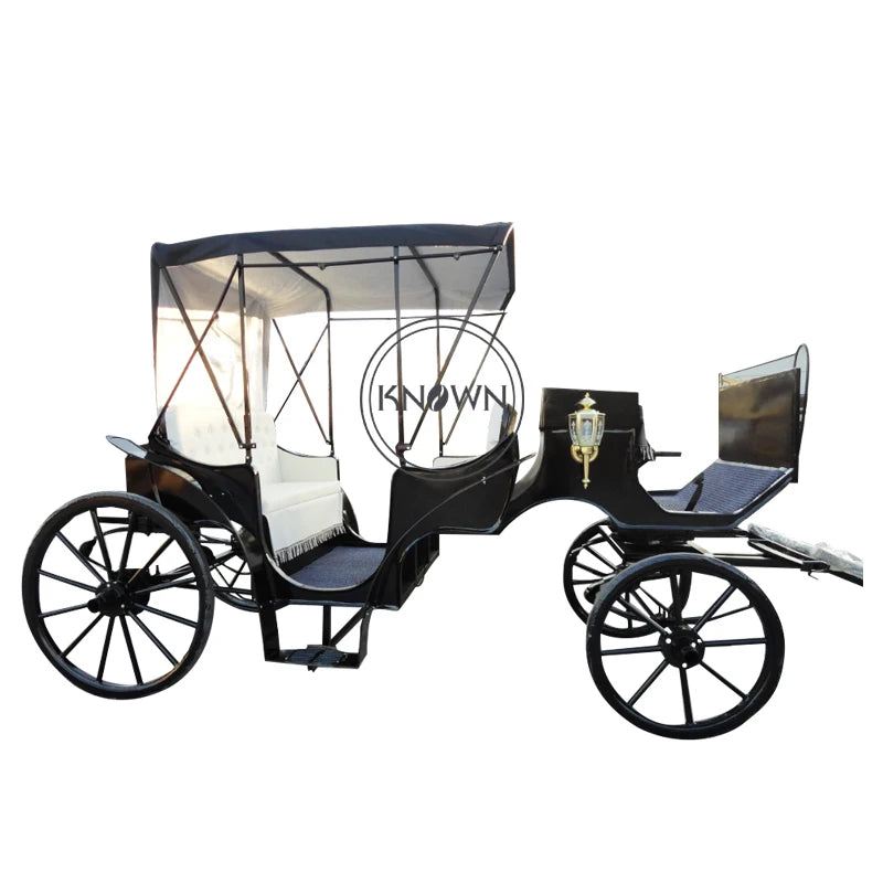 OEM Customized royal electric horse carriage for sale