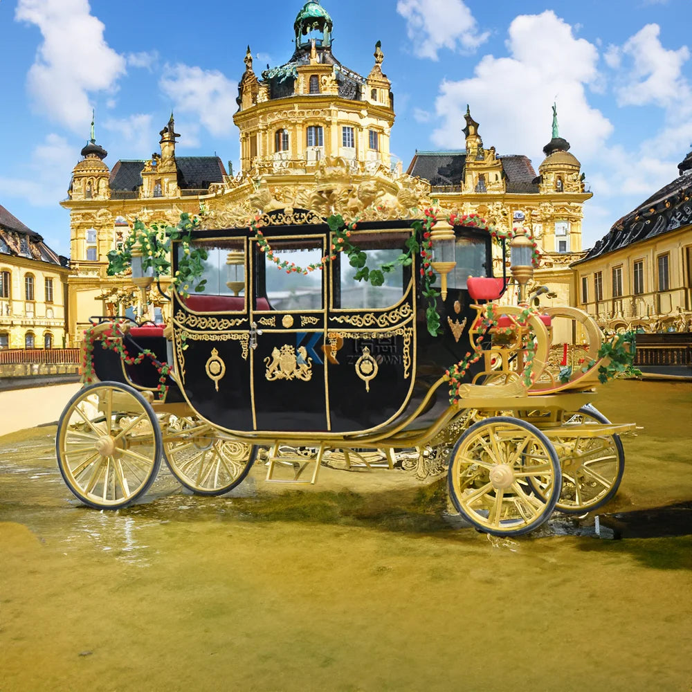 Sightseeing Horse Wagon Marathon Luxury Horse Drawn Carriage Electric Horse Cart Carriage