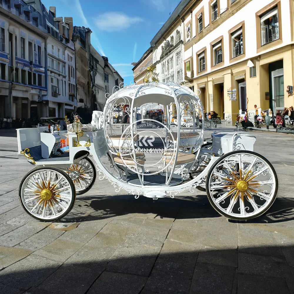 OEM Luxury Electric Pumpkin Horse Carriage Royal Horse Drawn Carriage Special Transportation Wedding Horse Drawn Wagon