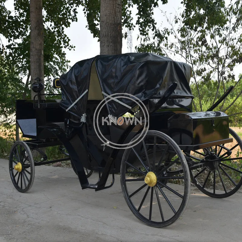 2023 Double Row Electric Horse Carriage for Wedding Photography Sightseeing Carriage Royal Horse Cars Trailer